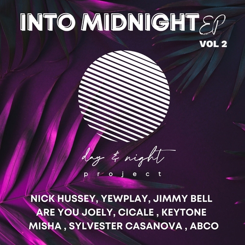 VA - Into Midnight EP, Vol. 2 [DAN012]